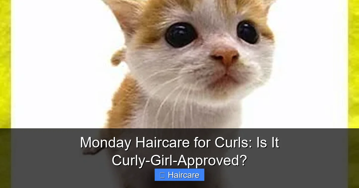 Monday Haircare for Curls: Is It Curly-Girl-Approved? - content2 visual guide