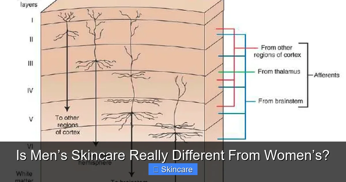 Is Men’s Skincare Really Different From Women’s? - content2 visual guide