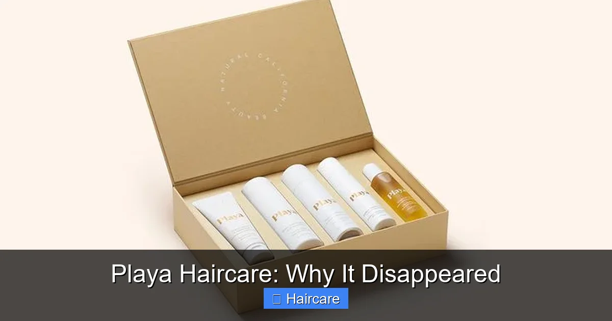 Playa Haircare: Why It Disappeared - content2 visual guide