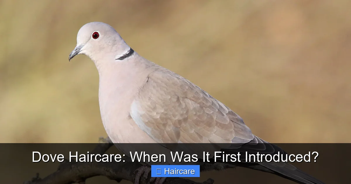 Dove Haircare: When Was It First Introduced? - content1 visual guide