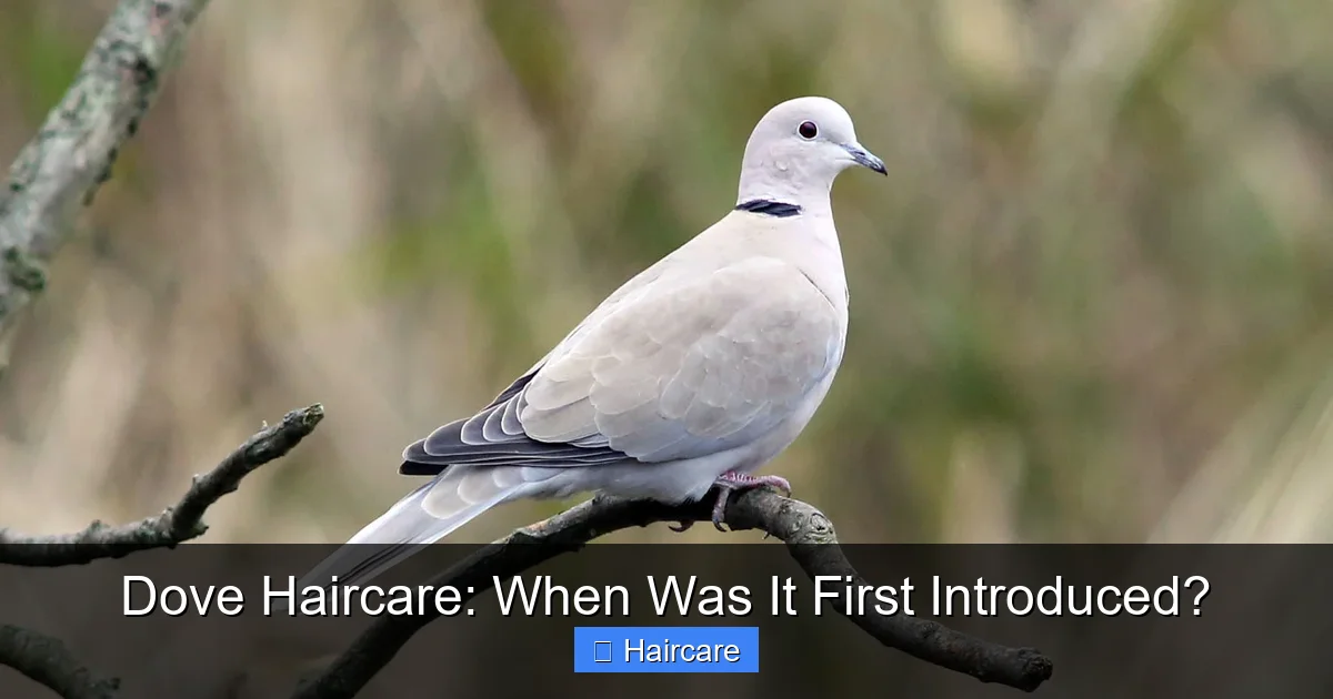 Dove Haircare: When Was It First Introduced? - content2 visual guide