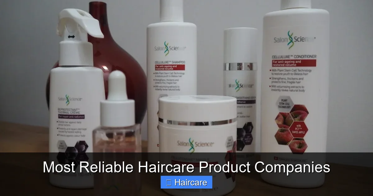Most Reliable Haircare Product Companies - content2 visual guide