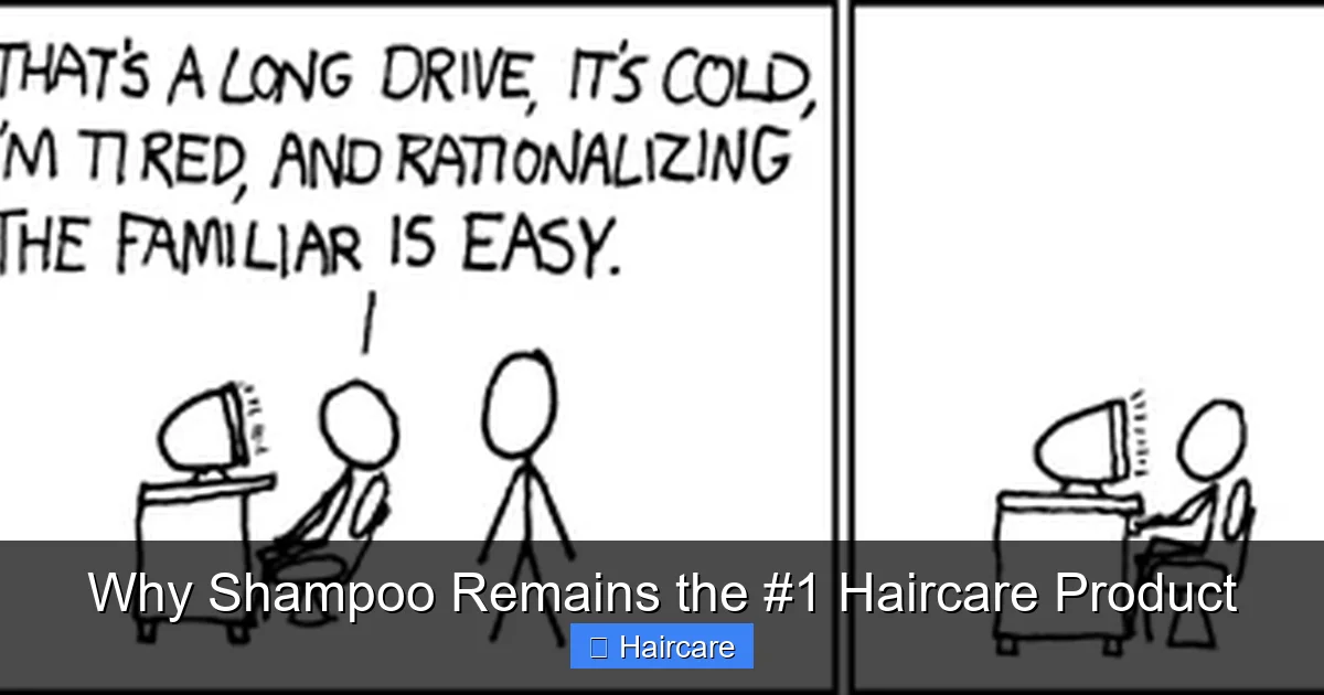 Why Shampoo Remains the #1 Haircare Product - content2 visual guide