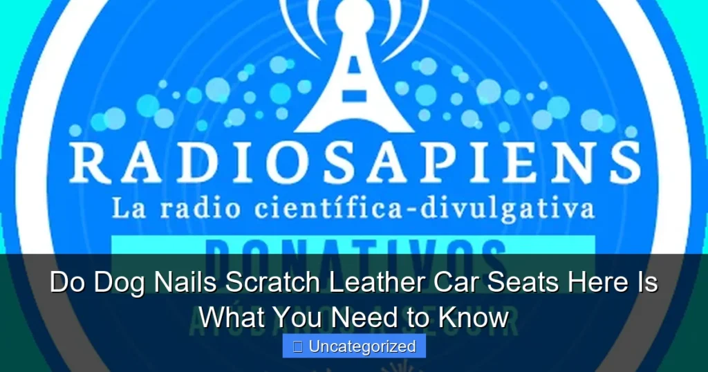 Do Dog Nails Scratch Leather Car Seats Here Is What You Need to Know