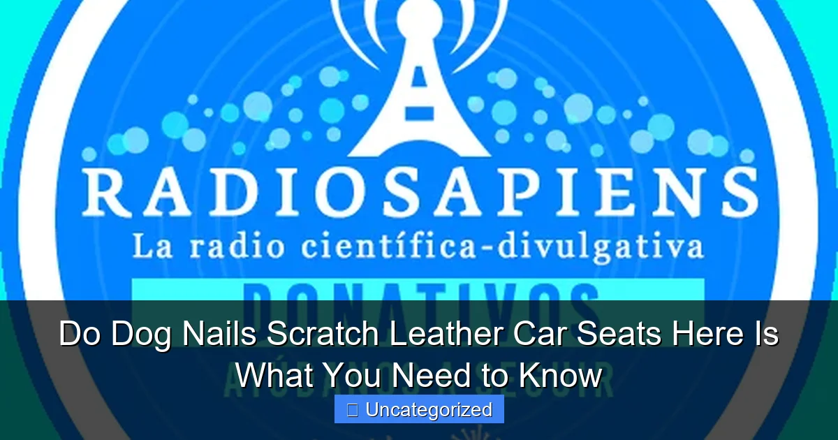 Do Dog Nails Scratch Leather Car Seats Here Is What You Need to Know