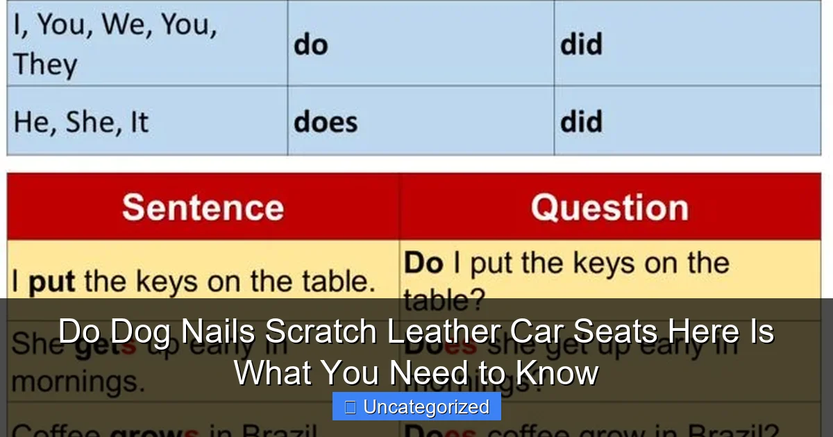 Do Dog Nails Scratch Leather Car Seats Here Is What You Need to Know