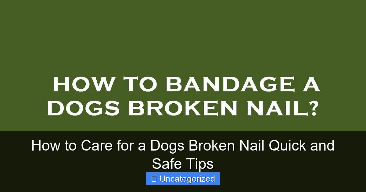 How to Care for a Dogs Broken Nail Quick and Safe Tips