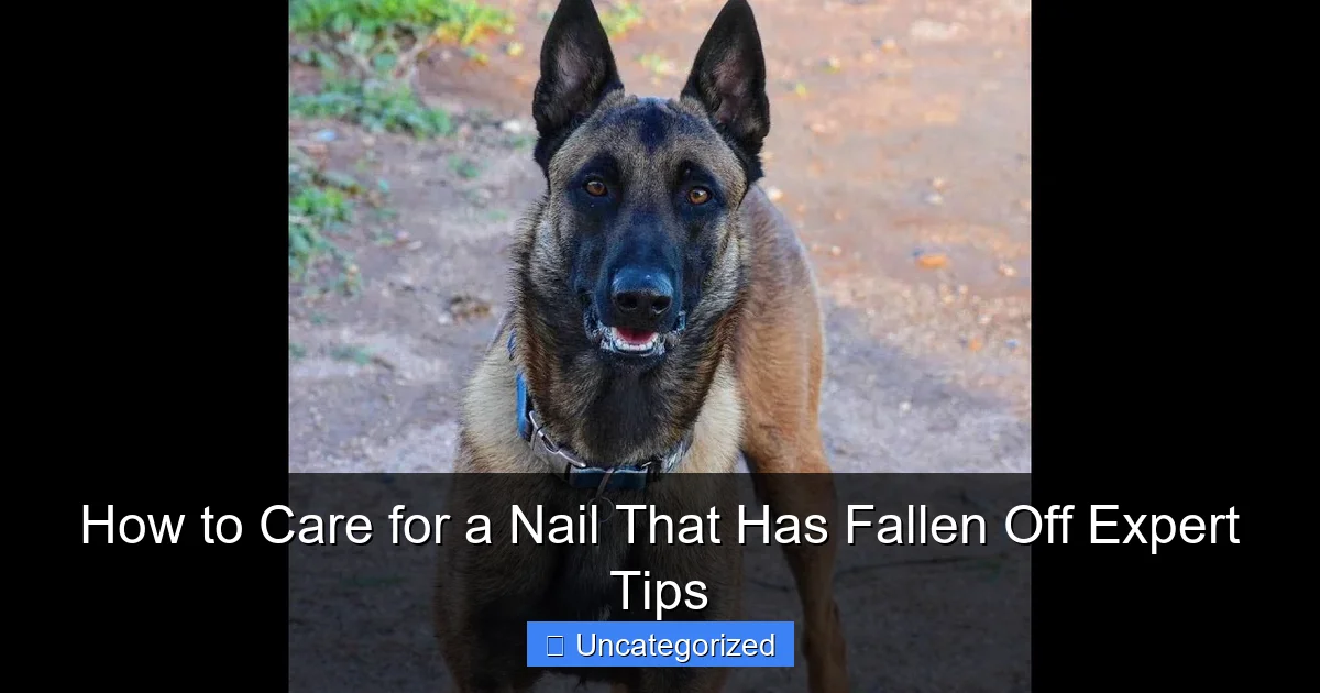 How to Care for a Nail That Has Fallen Off Expert Tips