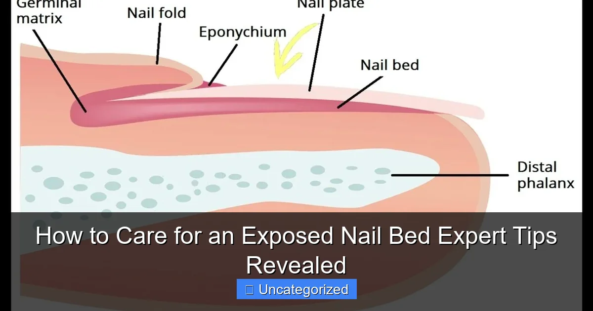 How to Care for an Exposed Nail Bed Expert Tips Revealed