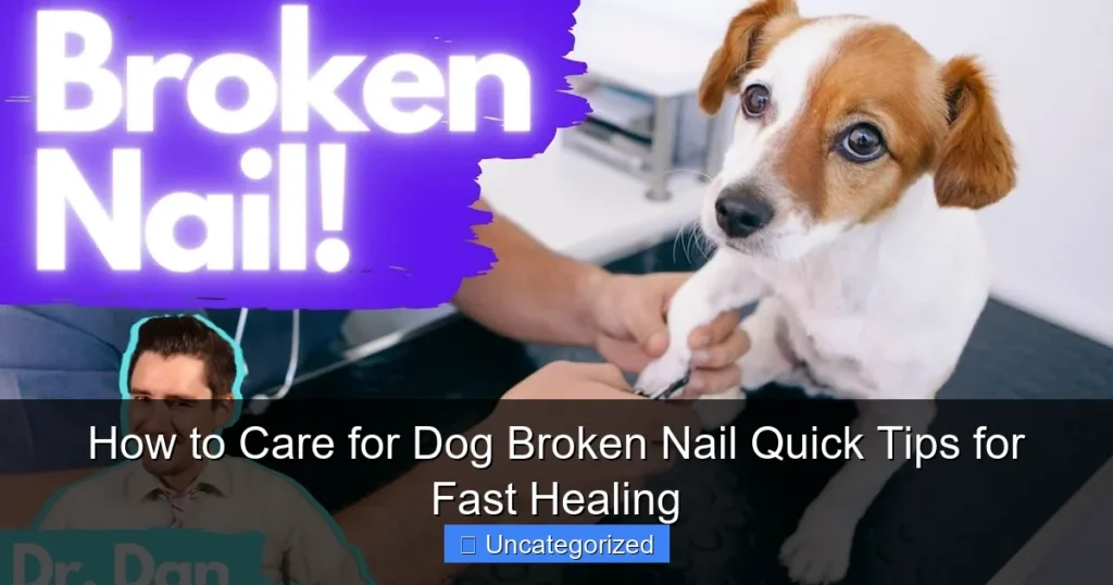 How to Care for Dog Broken Nail Quick Tips for Fast Healing