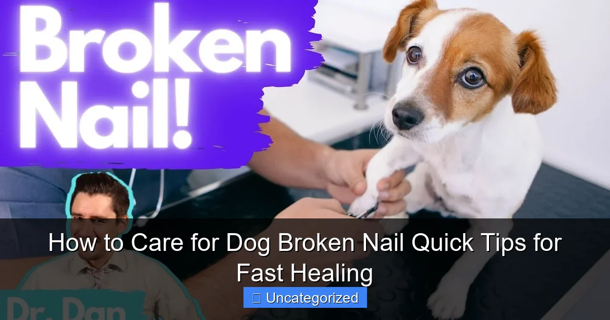 How to Care for Dog Broken Nail Quick Tips for Fast Healing