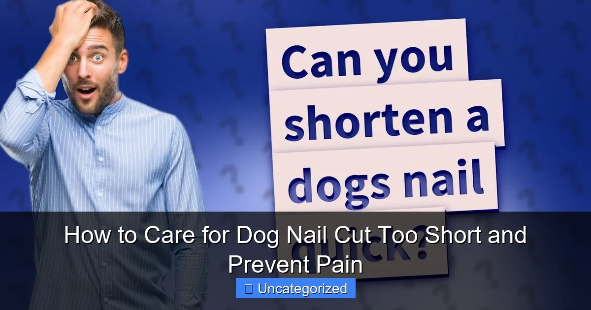How to Care for Dog Nail Cut Too Short and Prevent Pain