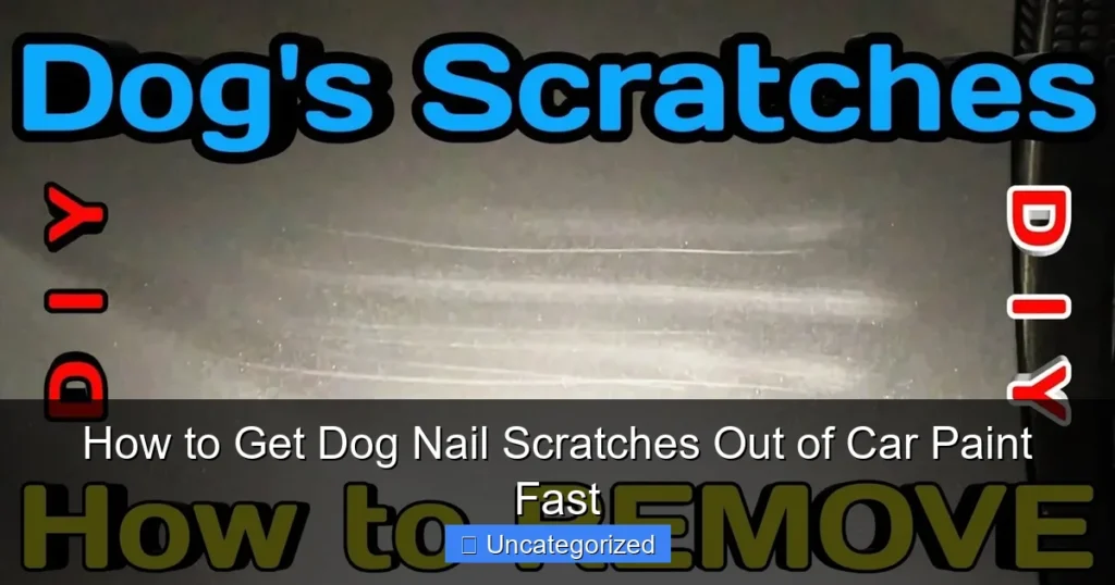 How to Get Dog Nail Scratches Out of Car Paint Fast