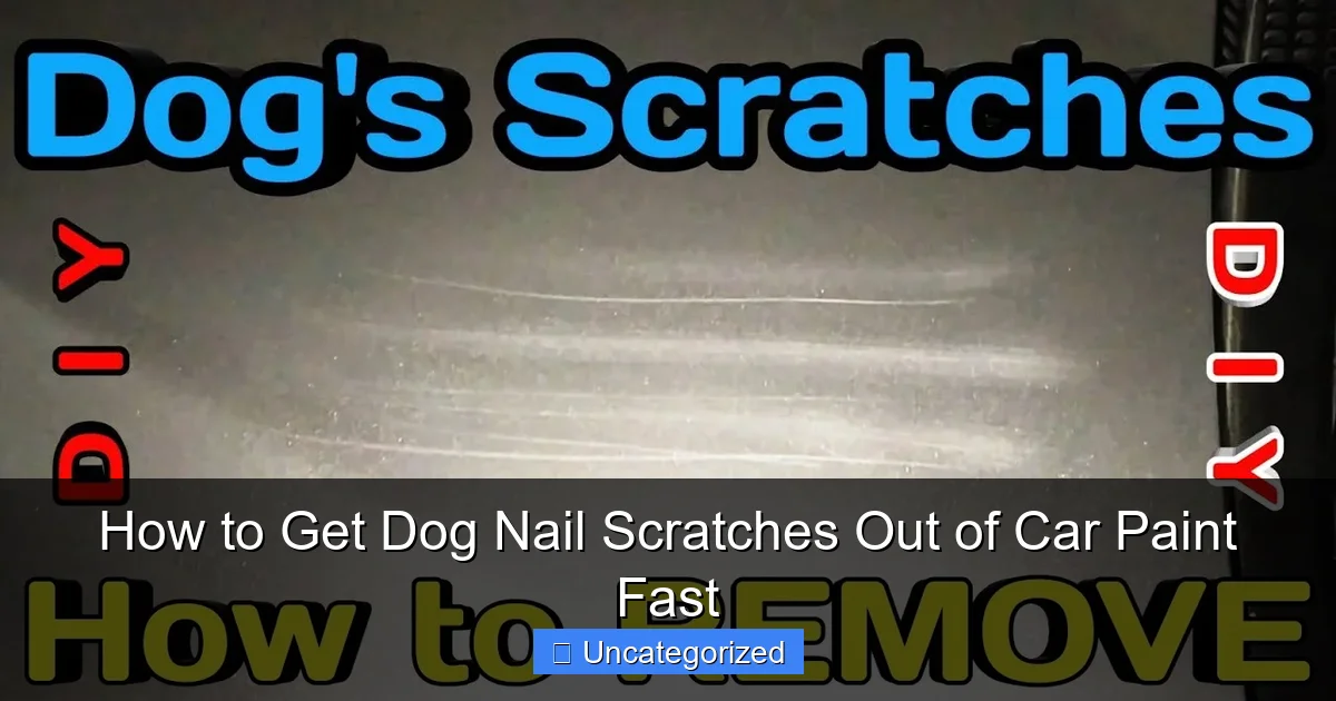 How to Get Dog Nail Scratches Out of Car Paint Fast