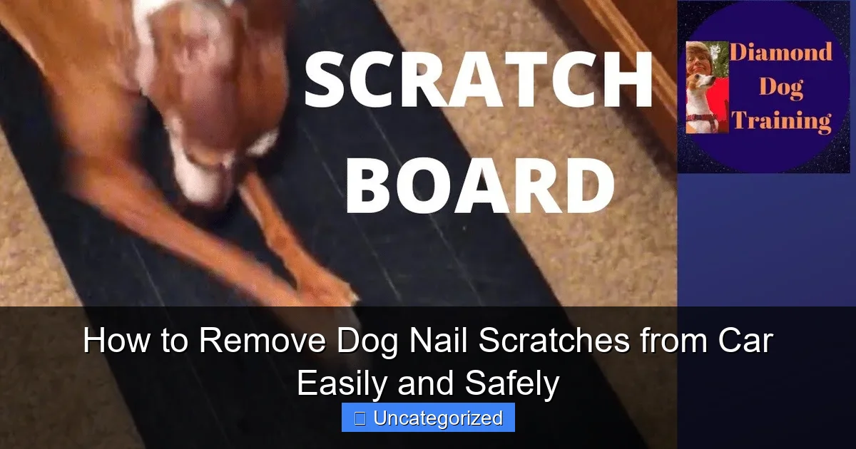 How to Remove Dog Nail Scratches from Car Easily and Safely