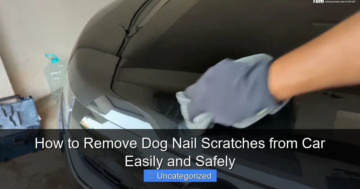 How to Remove Dog Nail Scratches from Car Easily and Safely