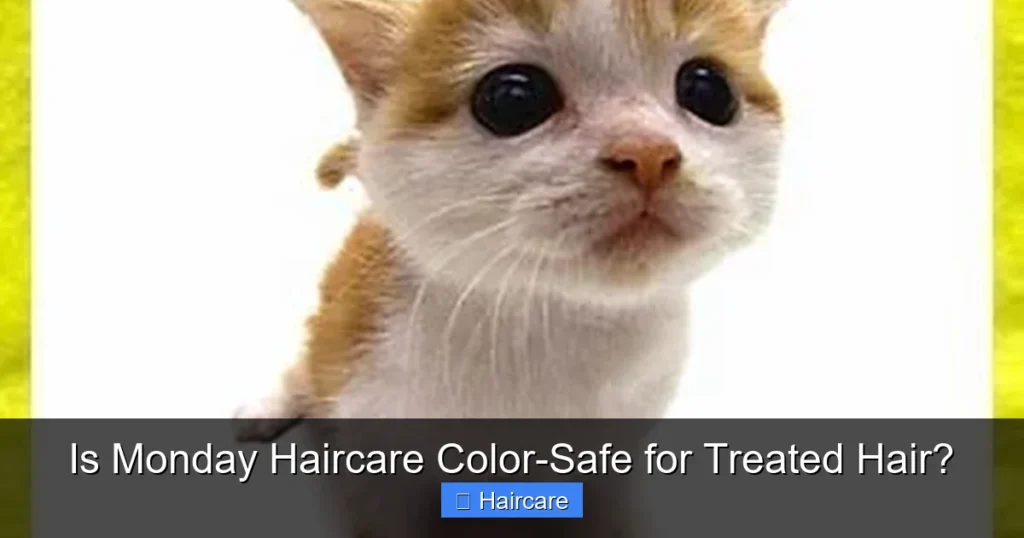 Featured image for Is Monday Haircare Color-Safe for Treated Hair?