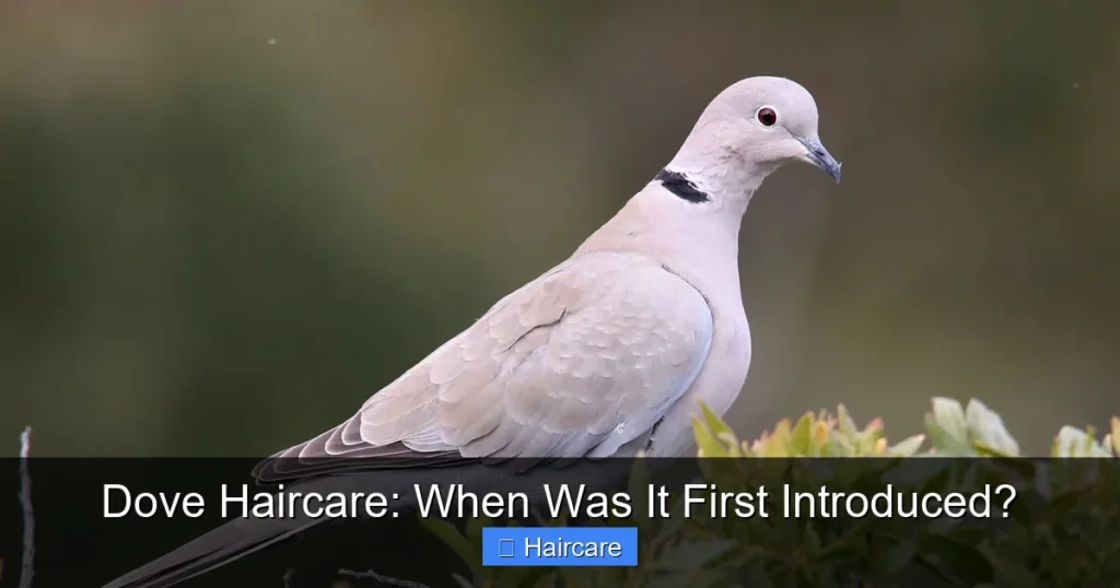 Featured image for Dove Haircare: When Was It First Introduced?